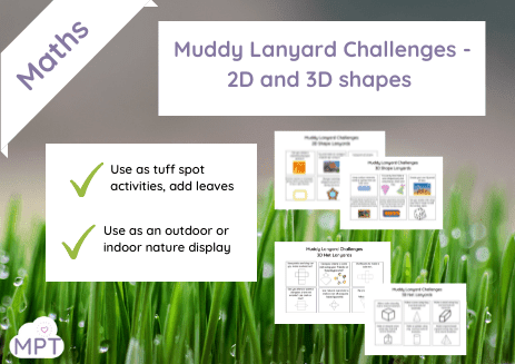 2d and 3d shapes