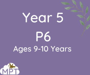 year 5 schemes of work