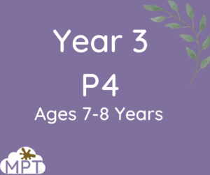 year 3 science schemes of work