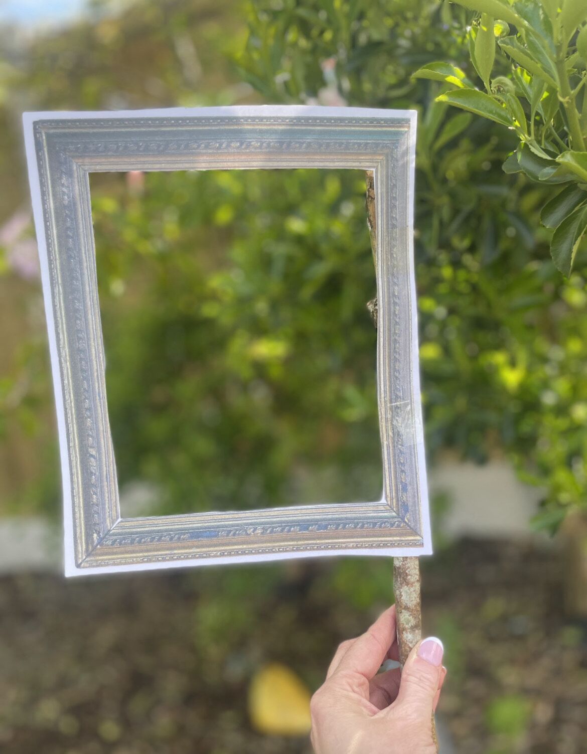 muddy frames