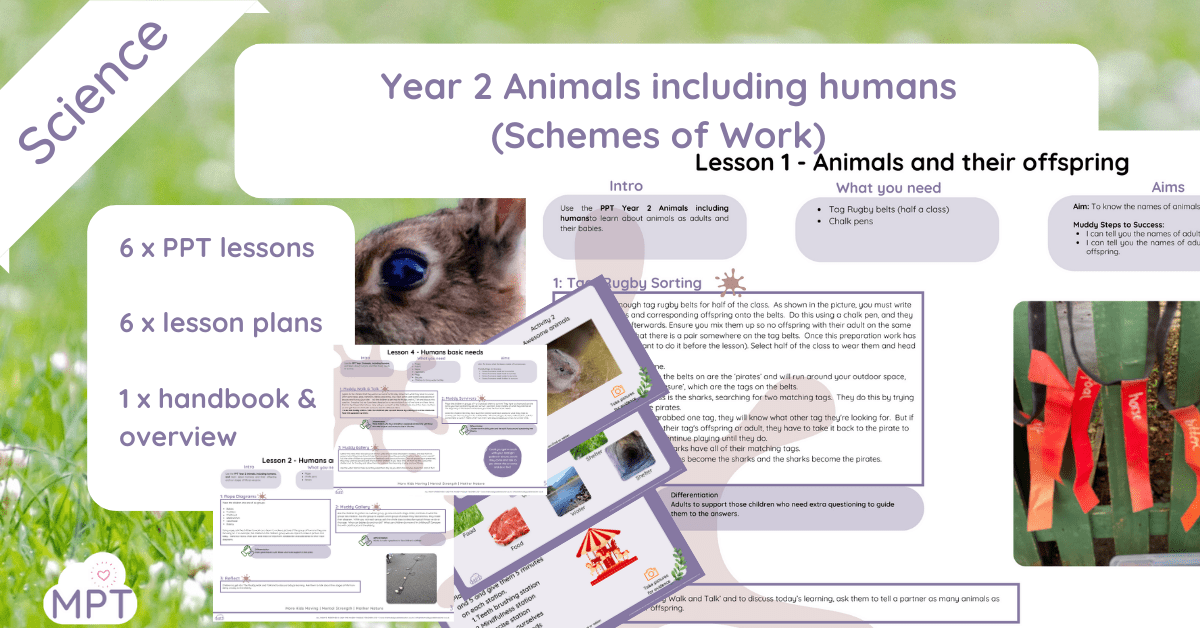 Year 2 animlas including humans