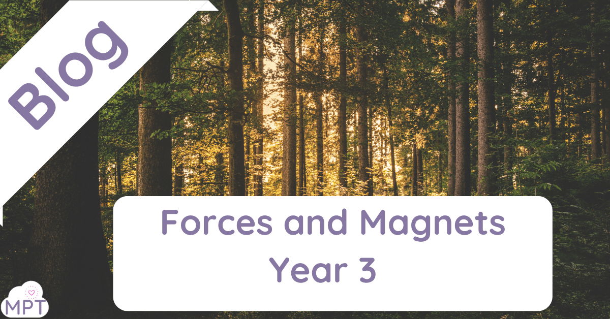 Forces and Magnets Year 3