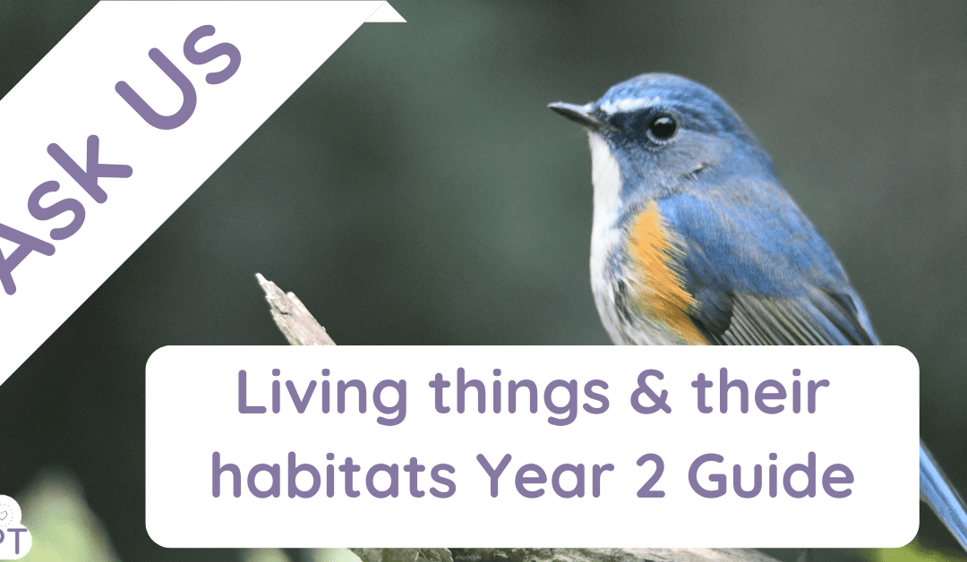 living things and their habitats year 2