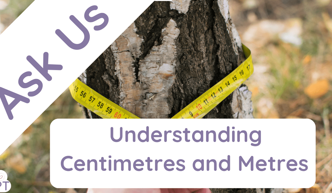 Understanding Centimetres and Metres