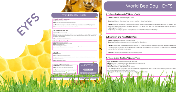 World Bee Day EYFS