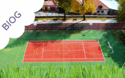 Fairness Game