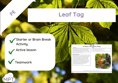Website Image Use ONLY (56) Leaf Tag (PE Starter or Brain Break)