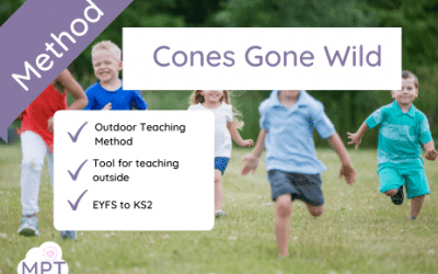 Cones Gine Wild (Outdoor Teaching Method)