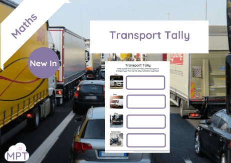 Muddy Puddle Teacher (31) Transport Tally (Maths)