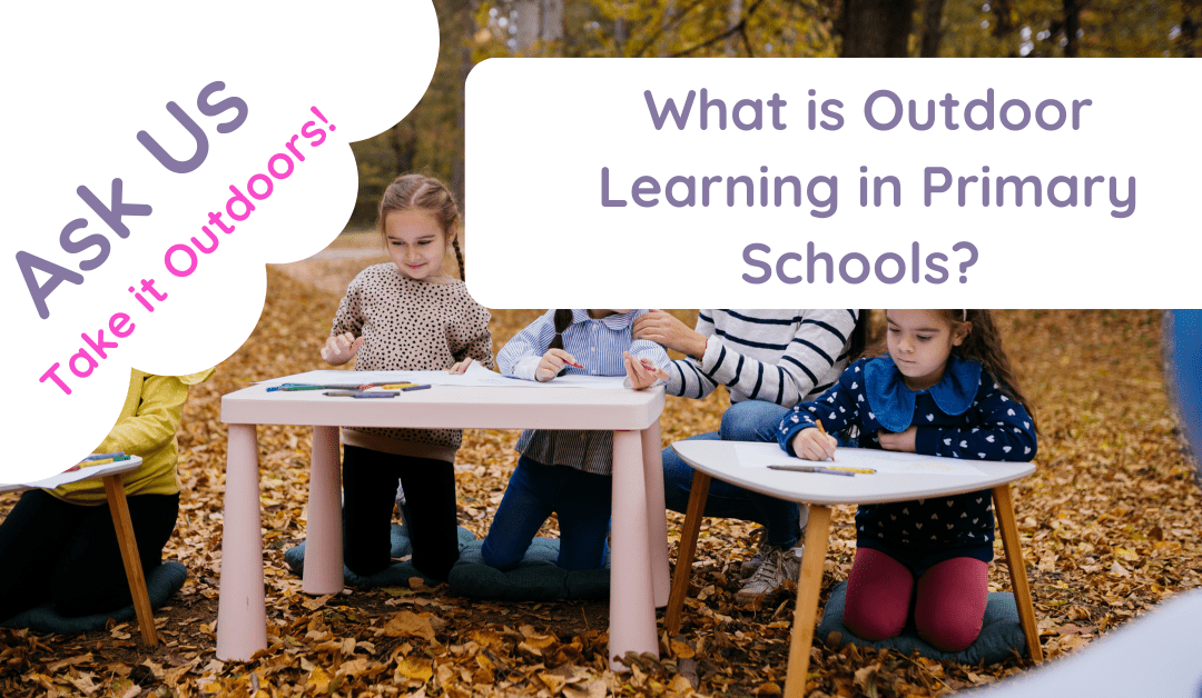 What Is Outdoor Learning in Primary Schools?