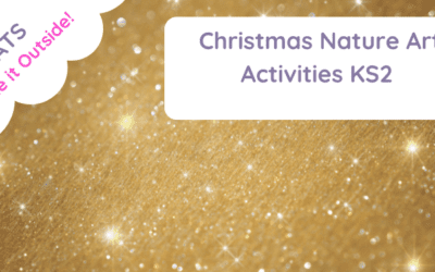 Christmas Nature Art Activities KS2