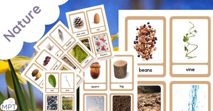 Nature Flash Cards (Outdoor Learning)