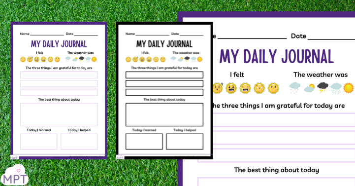Daily Journal SEND