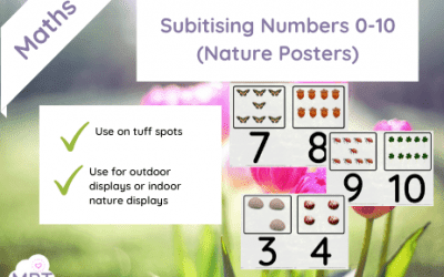 Subitising Numbers 0-10 (Nature Posters) (Flashcard)