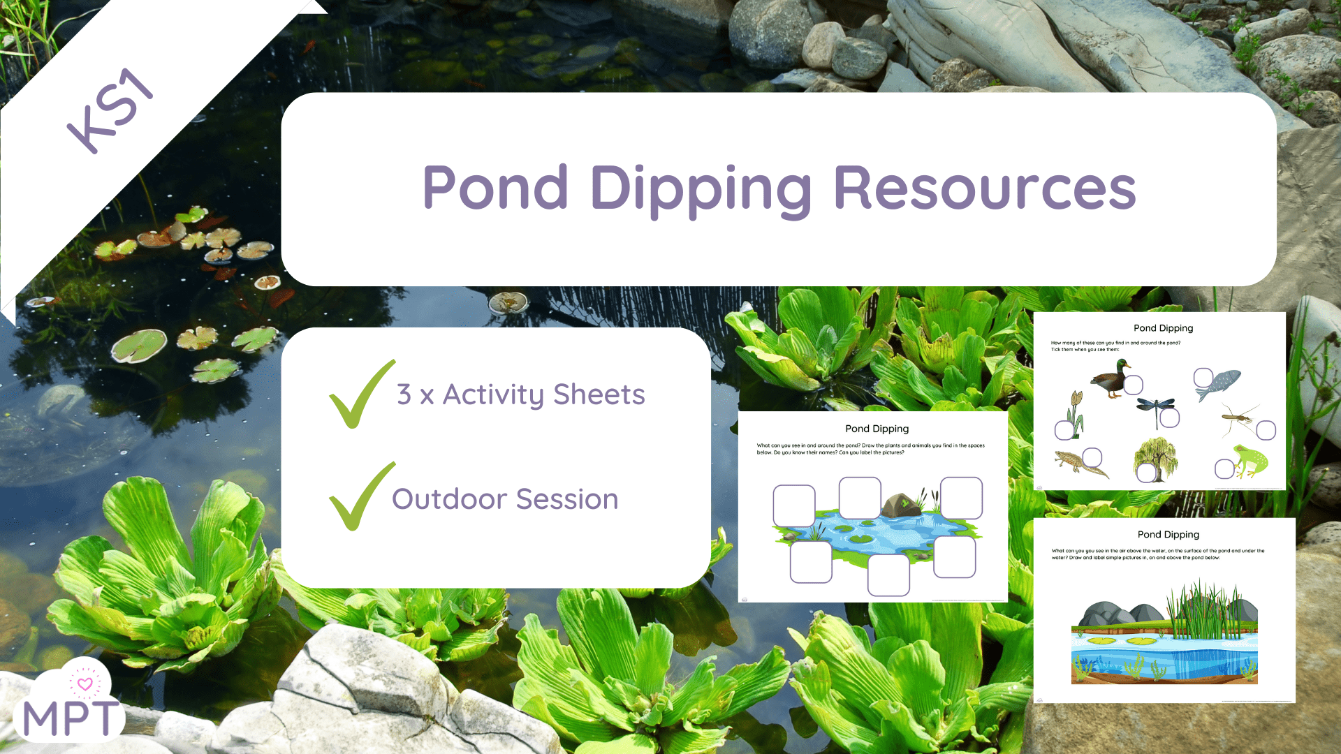 pond dipping
