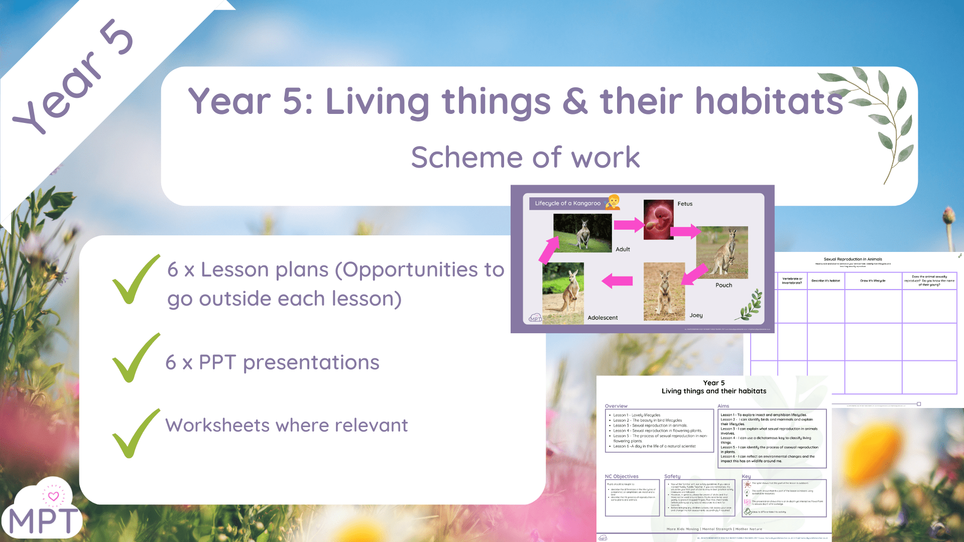 year 5 living things and their habitats