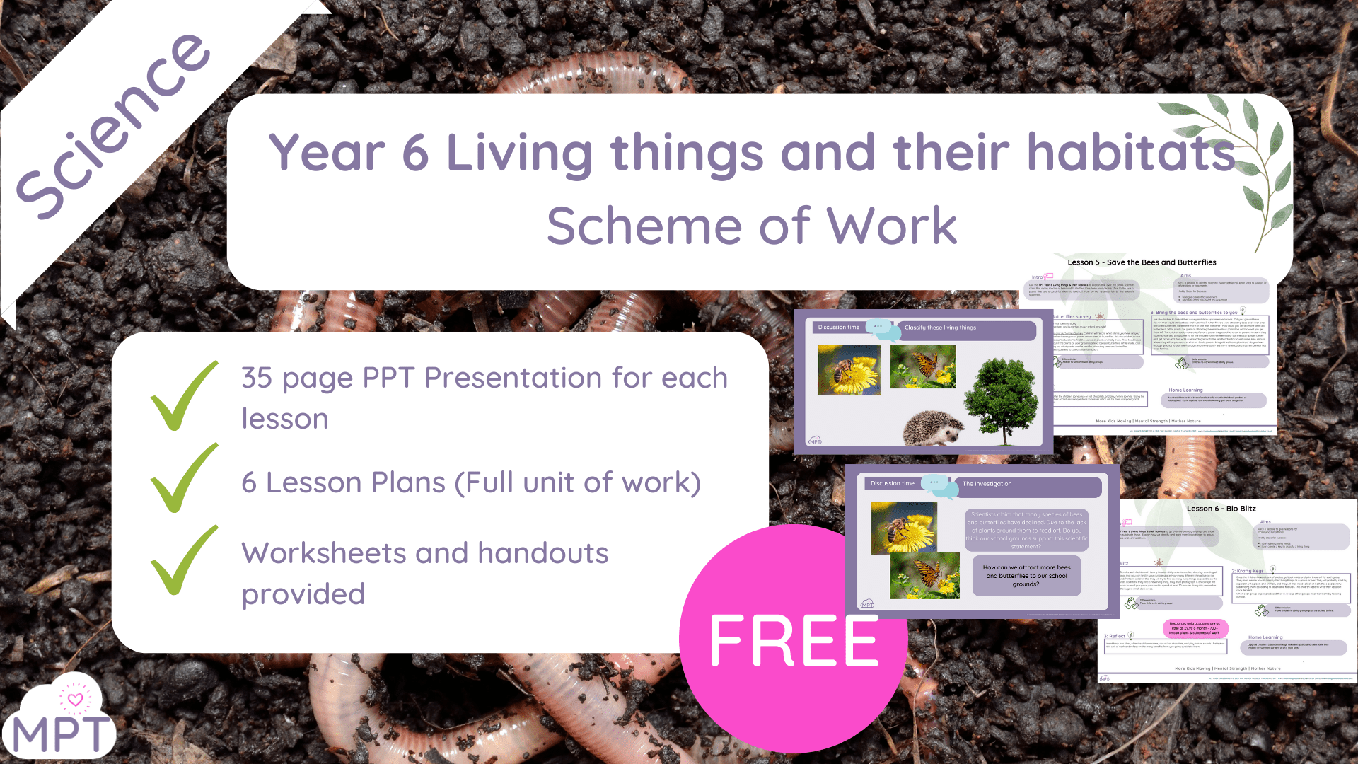 Year 6 Living things & their habitats