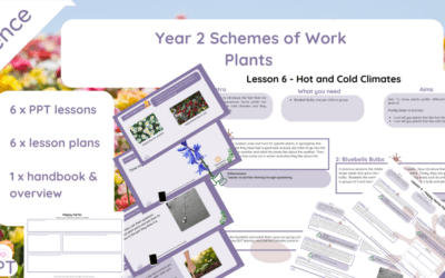 Year 2 Plants Scheme of Work