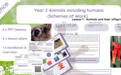 Year 2 Animals Including Humans (Scheme of Work)