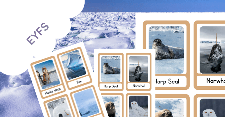 Arctic Animals Flash Cards