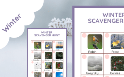 Winter Scavenger Hunt