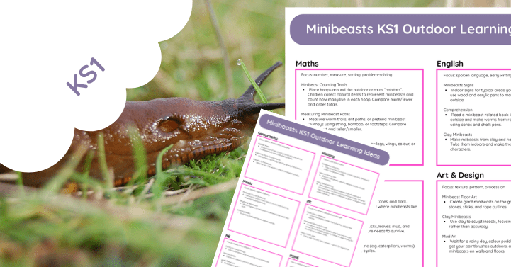Minibeasts KS1 Outdoor Learning Ideas