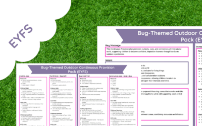 Bug-Themed Outdoor Continuous Provision Pack