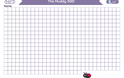 Muddy 500 Recording Chart