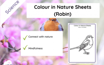 Colour in Nature Sheets (Robin)