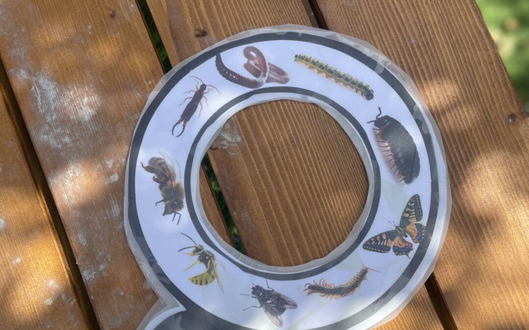 outdoor learning magnifying glass