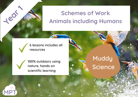 Outdoor schemes of work animals including humans