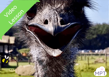 emus