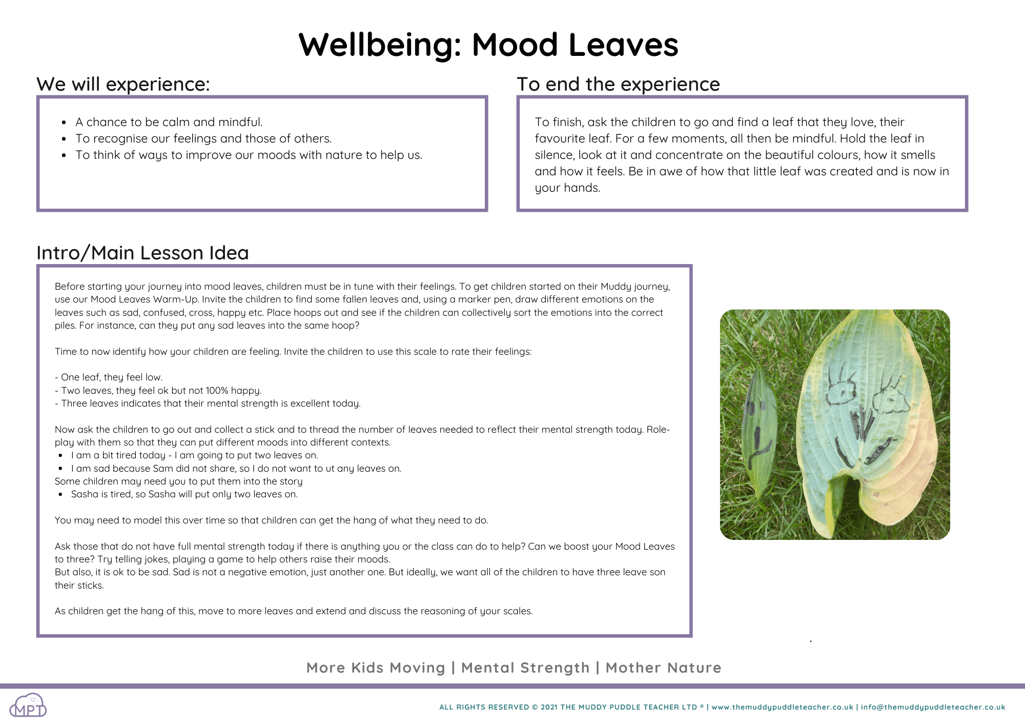 Wellbeing Mood Leaves Wellbeing: Mood Leaves