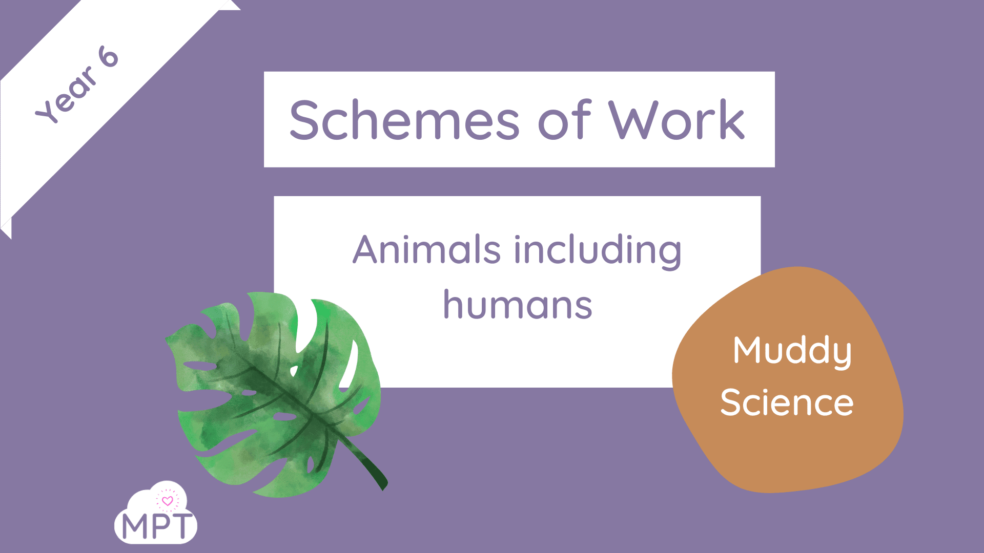 scheme of work outdoors