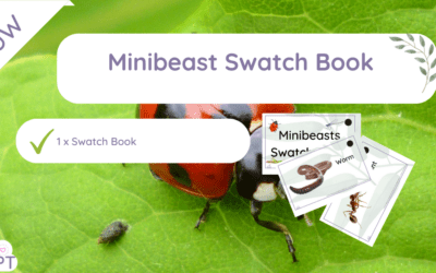 Minibeast Swatch Book