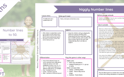 Niggly Number Lines up to 100