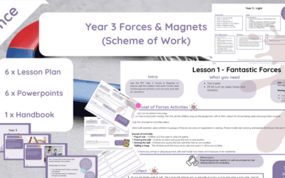 Year 3: Forces & Magnets (Scheme of Work)