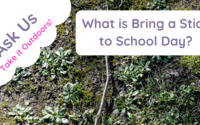 What Is Bring a Stick to School Day?