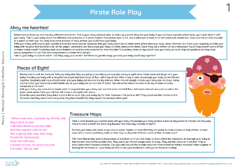 Website Image Use ONLY (66) pirates