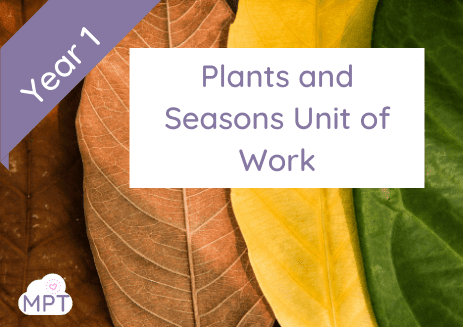 plants&seasons plants and seasons year 1
