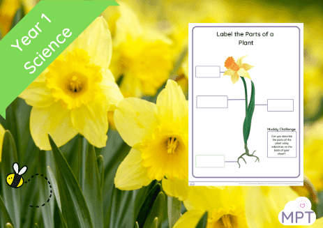 Podcast Website Image Use ONLY (3) label a plant