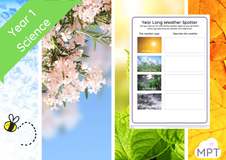Podcast Website Image Use ONLY (4) year long weather changes
