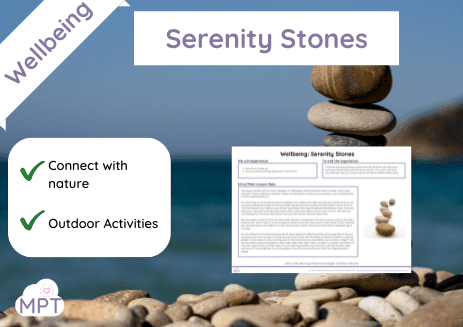 Website Image Use ONLY (30) serenity stones