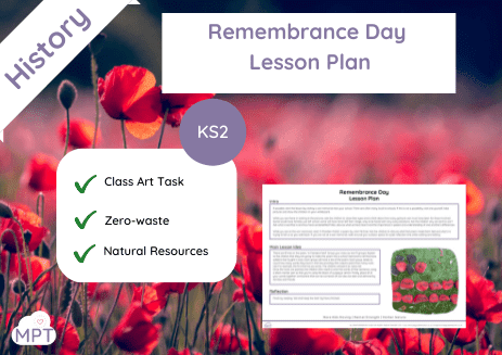 Copy of Website Image Use ONLY (463 x 327 px) (2) poppy