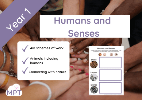 Humand and Senses Humans and senses