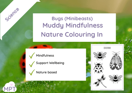 Muddy Puddle Teacher bug colouring in