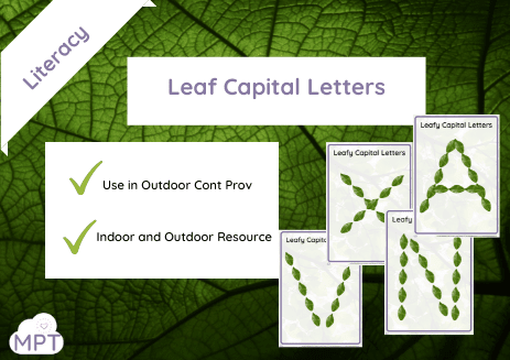 Website Rocks capital letters in leaves