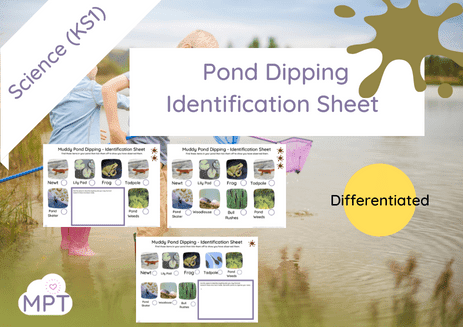 pond dipping