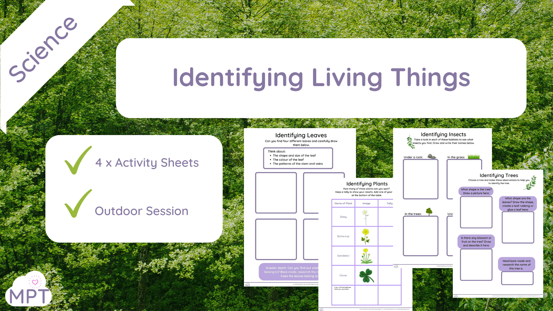 Outdoor Learning website (12) identifying living things