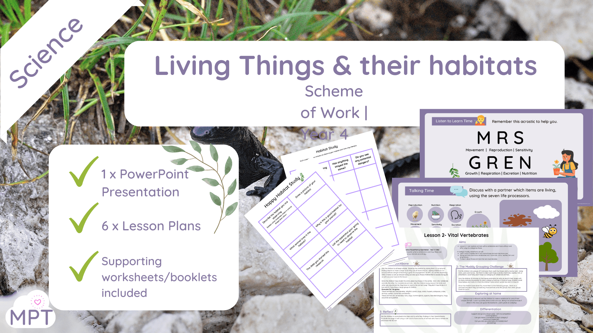 Outdoor Learning website (14) outdoor learning